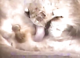 Incredible bestiality action for filthy zoophiles