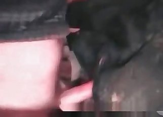 Crooked first-timer and his fave dog in ass job action