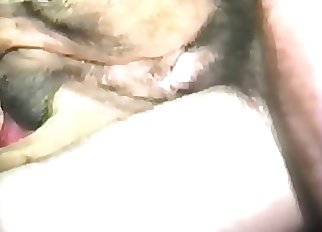Disgusting inexperienced bestiality in close-up shot